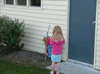 Sample Photo from Album Number 123