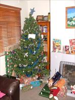Sample Photo from Album Number 144