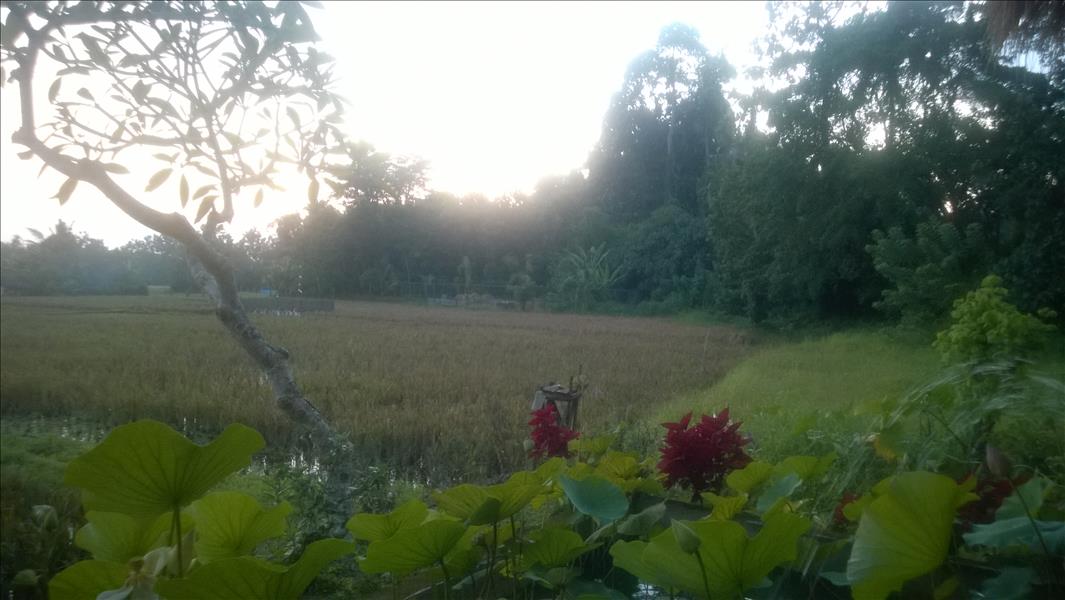 Photo Number 8709